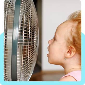 Whole-Home Dehumidification in Naples